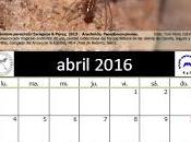 Calendario AeE-GEV. Abril 2016