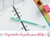 Imprimible: Organizador gastos para filofax