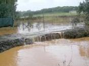 Cañada Pájaros ahoga temporal