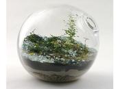 Jardines miniatura.