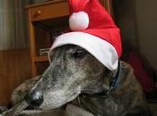 Viviendo navidad esperando langostino....