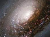 Feliz viaje alrededor