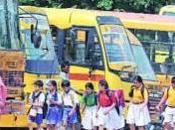 Cinturón seguridad autobuses escolares