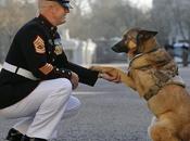 Perro héroe perdió pierna Afganistán, condecorado valor prestigiosa medalla