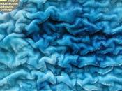 Jugando texturas Brigit Aubeso