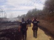 Incendios forestales continúan afectando Luis Potosí