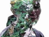 Cemetery Splendour. Conectar conectar.