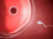 metformina tratando concebir