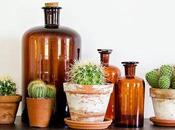 Decorar cactus