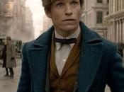 Fantastic Beasts Where Find Them