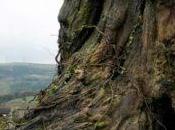 monstruo viene verme’: Nuevo tráiler para último Juan Antonio Bayona