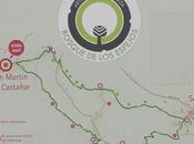 Recorriendo Sierra Francia: Bosque Espejos