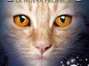 estelar, Erin Hunter