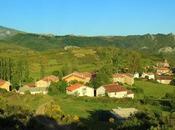 Campo