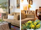 Home Staging emocional vender pisos emociones