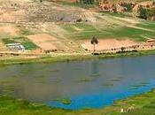 Orígenes Cultura Wari