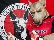 esta tabla porcentajes para 2016-2017