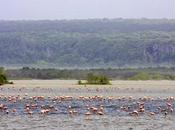 Carta Ministro Ecosocialismo Aguas sobre Refugio Fauna Silvestre Cuare