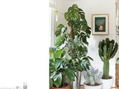 Quedamos en…Mi zona verde