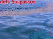 L'ampla dels Sargassos Ancho Sargazos
