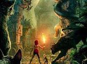 2466.- Libro Selva"