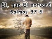 confianza primordial