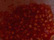 Para sirven semillas tomate