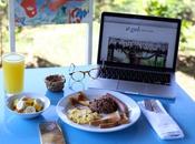 Coffee Plantation