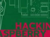 Hacking raspberry