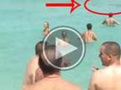 Tiburones playa Miami, gente baña ellos