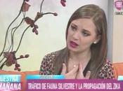 Entrevista Valeria Gonzalez Enrique Richard sobre virus Zika e...