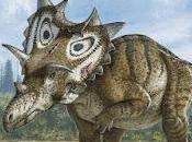 Nuevos dinosaurios ceratopsios