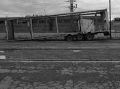 arte 2011