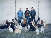 Peter Bjorn John anuncian nuevo álbum