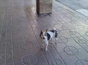 Mañana quedara poco cree tiene.