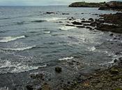 Olas rocas tejen costa.