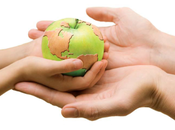 guías alimentarias ¿son sostenibles?