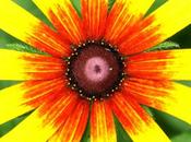 Cómo Optimista tiempos crisis-Lou Tice