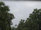 Lluvias gran parte país vaguadas onda.