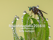Macro 2016 burbujas