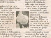 niños dadá