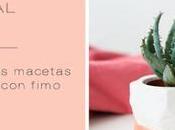 unas originales macetas para plantas fimo