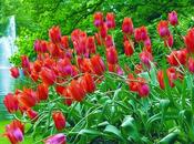 Destinos Recomendados Holanda