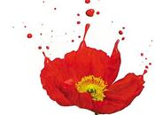 Cuando éramos ángeles beatriz rodríguez