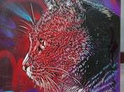 Gatos estarcidos vagabundean calles