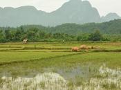 ruta moto Vang Vieng