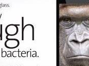 Nuevas pantallas Gorilla Glass protegen bacterias mano...