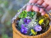 Natura Siberica, cosmética poder flora siberiana