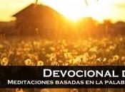 ¿Qué dicen