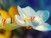 aprender desarrollar creatividad ILUSIÓN